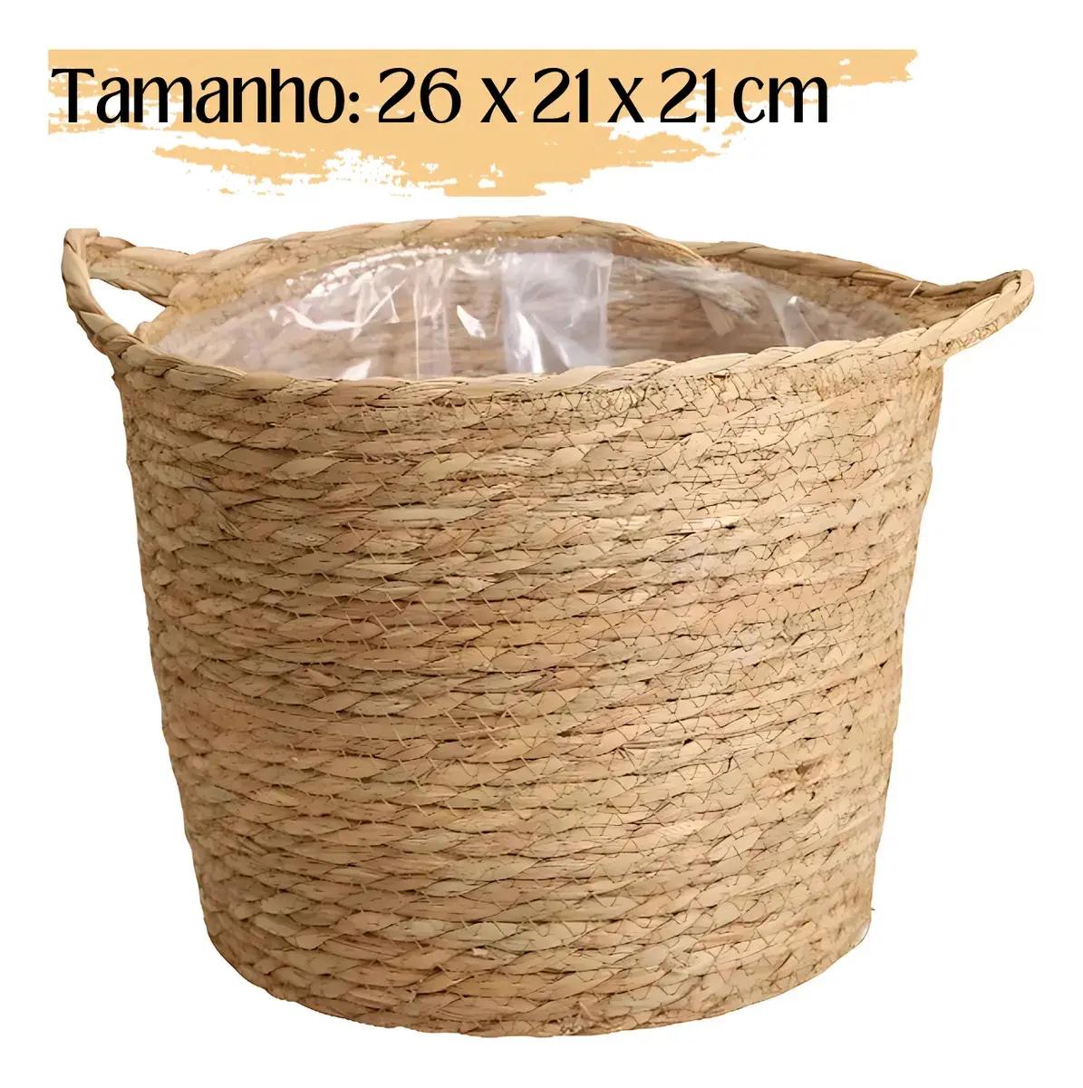Melhor cachepot para plantas: guia 2026